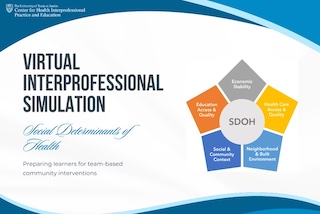 Virtual Interprofessional Simulation graphic with 5 categories in the infographic