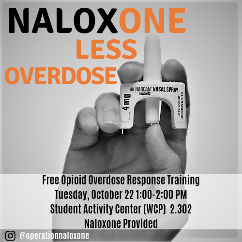 Opioid Event Photo