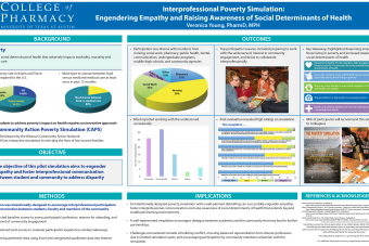 Poverty Simulation