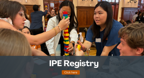 IPE Registry Image